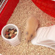 Клітка Ferplast Coney Island White для хом`яків