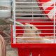 Клітка Ferplast Coney Island White для хом`яків