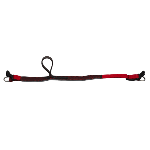 Комплект AnimAll VetLine Double Guard ошейник с противопаразитарной лентой, 25 мм, 400 – 500 мм, красный