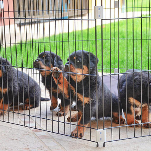 Загін для собак і цуценят Ferplast Dog Training, можна використовувати як перегородку