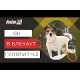Нашийник AnimAll LED для собак, розмір S, 40 см, помаранчевий