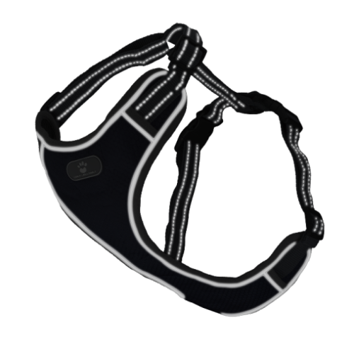 Шлея AnimAll HL-8005-2 для собак, темно-синя, XL, 52-80 см/46-92 см