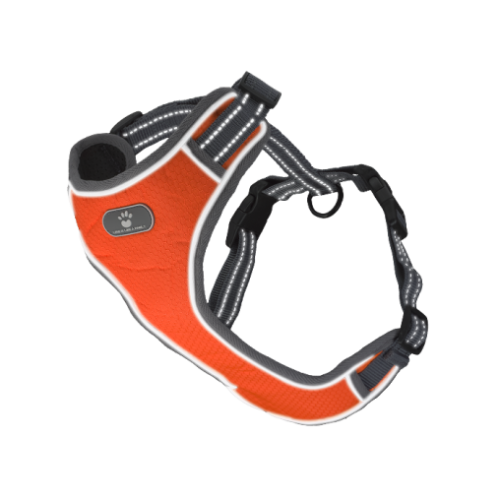Шлея AnimAll HL-8005-1 для собак, помаранчева, L, 42-50 см/42-79 см