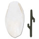 Кісточка каракатиці Ferplast PA 4330