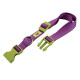 Нейлоновый ошейник для собак Ferplast Club C25/70 Colours Viola