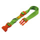 Нейлоновий нашийник для собак Ferplast Club C15/44 Colours Verde Cido