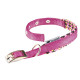 Нейлоновый ошейник для собак Ferplast Daytona Fantasy C15/35 Fuchsia