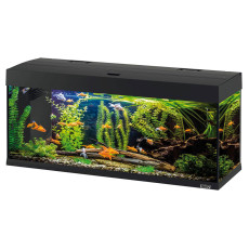 Стеклянный аквариум со светильником и фильтром Ferplast Dubai 120 Led Black на 240 л
