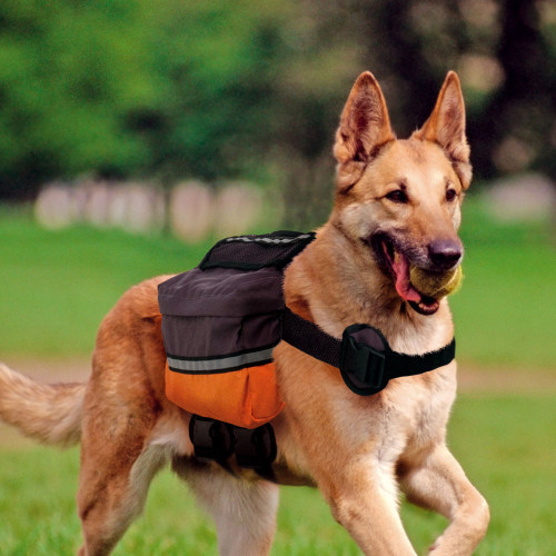 В`ючна сумка для собак Ferplast Dog Scout
