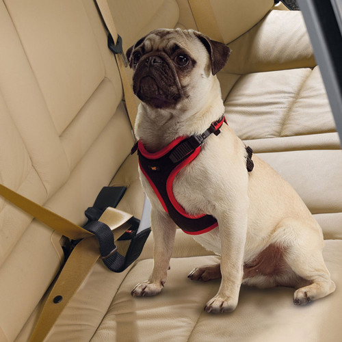 Ремінь безпеки для собак Ferplast Dog Travel Belt