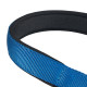Нейлоновый ошейник с металлической цепочкой для собак Ferplast Daytona CSS20/50 Blue