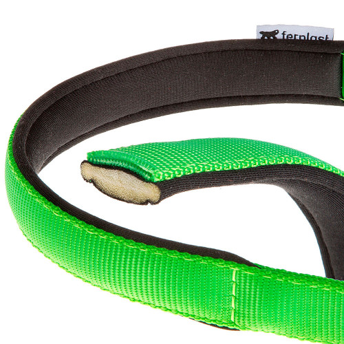 Нейлоновый ошейник для собак Ferplast Daytona C25/53 Verde Acido