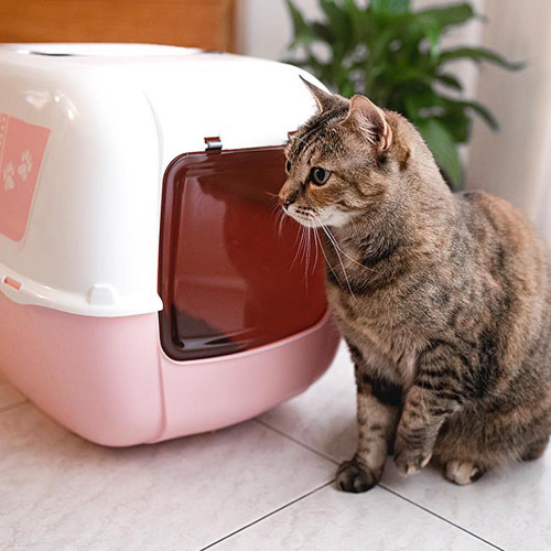 Закритий туалет для кішок з малюнком Ferplast Prima Decor Rosa