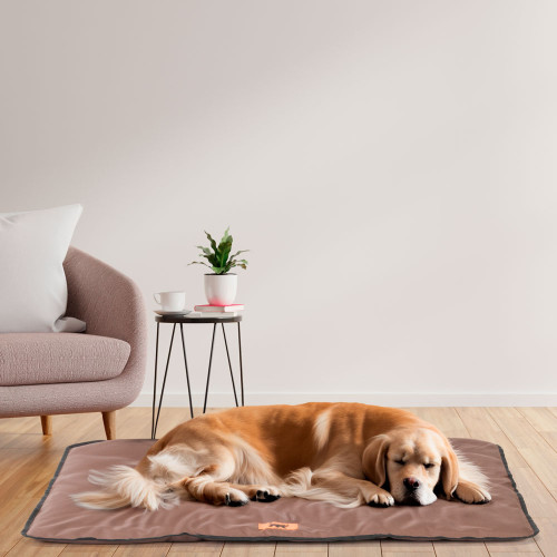 Матрац із технологічної тканини для собак Ferplast Jolly 100 Brown