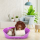Пластиковий лежак для собак та кішок Ferplast Siesta Deluxe 8 Fuchsia