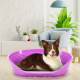 Пластиковый лежак для собак и кошек Ferplast Siesta Deluxe 10 Fuchsia