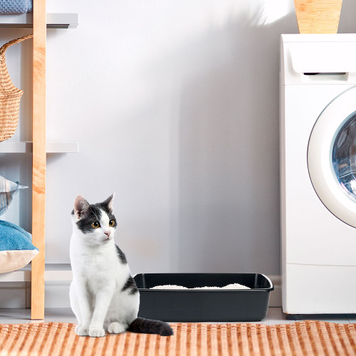 Лоток для кошек Ferplast Nip 10