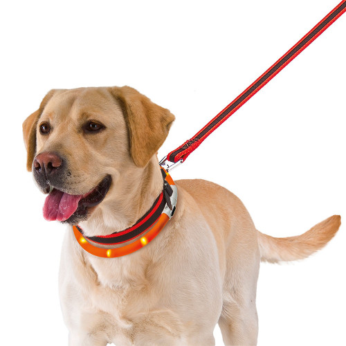 Светящийся фальш-ошейник для собак Ferplast Night Over-Collar 55
