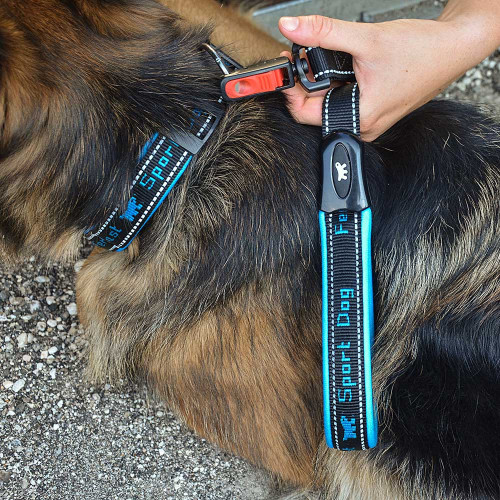 Нашийник для собак на підкладці Ferplast Sport Dog C25/55 Blue