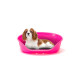Пластиковий лежак для собак та кішок Ferplast Siesta Deluxe 6 Fuchsia