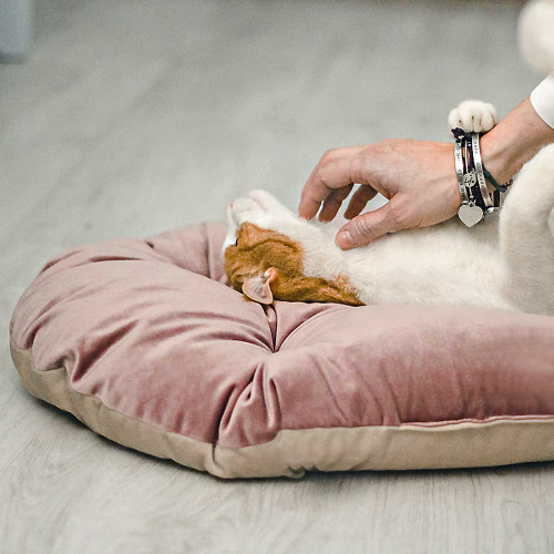 Мягкая подушка для собак и кошек Ferplast Prince 65/6 Pink