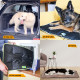 Матрац із технологічної тканини для собак Ferplast Jolly 110 Black