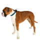 Нашийник для собак на підкладці Ferplast Sport Dog C25/55 Yellow