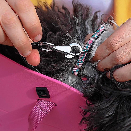 Мягкая переноска для маленьких собак Ferplast With-Me Small Fuchsia