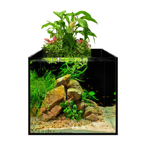 aFARM - Акваріумний набір AQUAPONIC SET