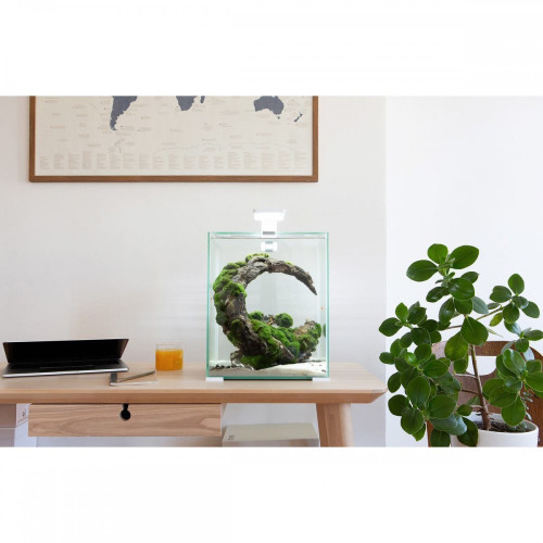 Аквариум Aquael Smart Day&Night для креветок, белый, 10 л