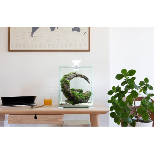 Аквариум Aquael Smart Day&Night для креветок, черный, 30 л