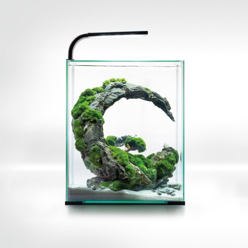 Аквариум Aquael Smart Day&Night для креветок, черный, 30 л