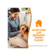 Спрей 8in1 NM Dog Orange Oxy Spray для собак, устранение пятен и запахов, 709 мл