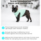 Курточка двобічна світловідбиваюча AiryVest Lumi, S40, салатово-помаранчева