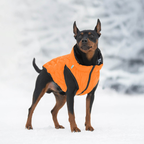 Куртка двостороння  AiryVest UNI, розмір S 38, помаранчево-чорна