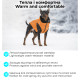 Куртка двостороння AiryVest UNI, розмір L55, помаранчево-чорна