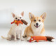 Игрушка для собак WAUDOG Fun Plush Лиса, трикотаж, 18 см