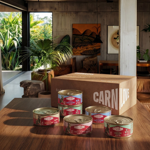 Корм вологий Carnilove Turkey & Salmon для кошенят паштет індичка і лосось 100 г