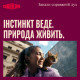 Корм вологий Carnilove Turkey & Salmon для кошенят паштет індичка і лосось 100 г