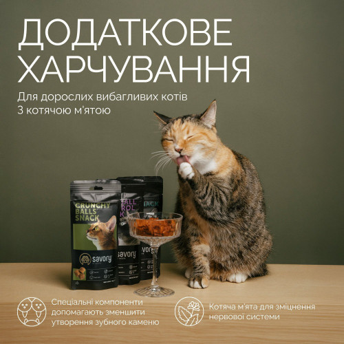 Хрумкі ласощі Savory Cats Snacks Crunchy Balls для дорослих вибагливих котів, кульки з котячою м`ятою, 60 г
