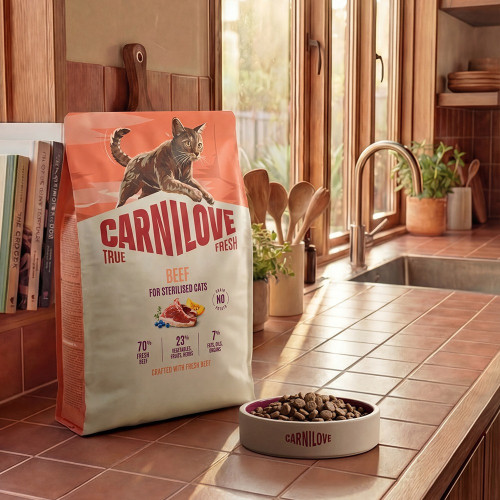 Корм сухий Carnilove True Fresh Beef Kitten для кошенят яловичина 400 г