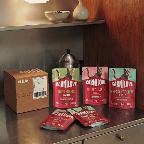 Корм вологий Carnilove Jelly Pheasant with Raspberry Leaves для котів фазан і листя малини в желе 85 г